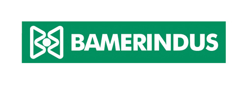 Banco Bamerindus logo
